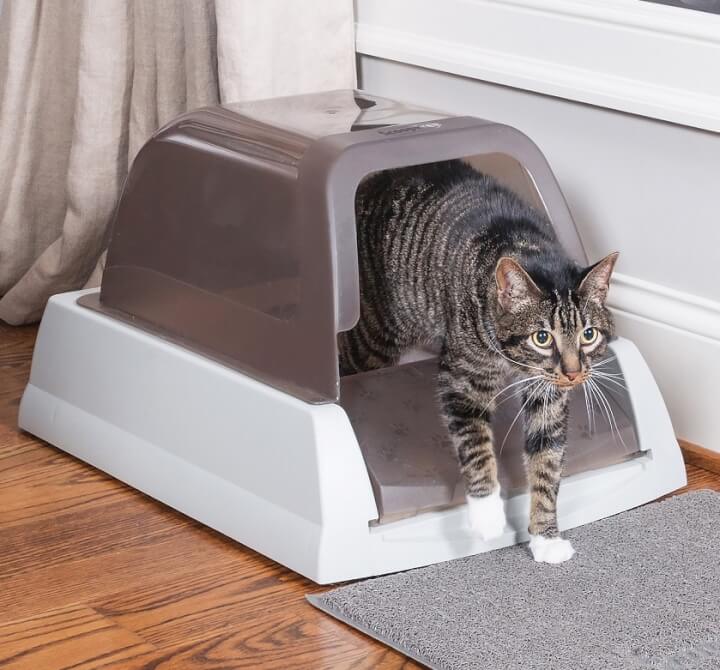 Self Cleaning Hooded Cat Litter Box