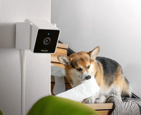 Pet Monitoring Camera