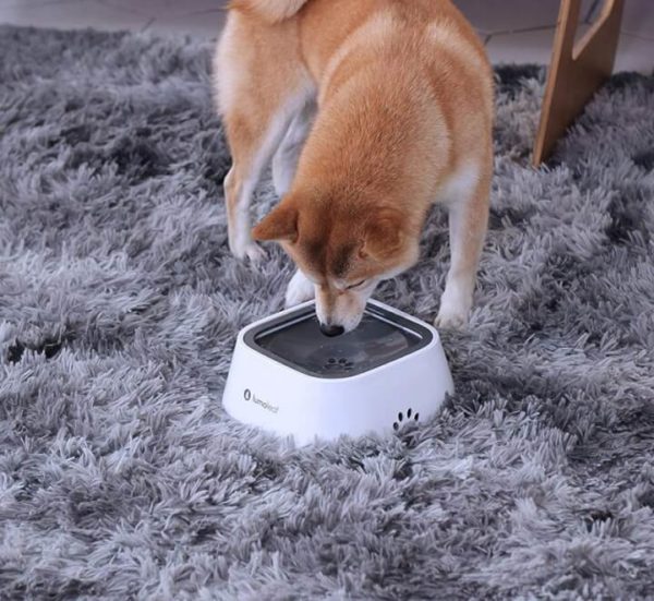 No Spill Water Bowl for Dog