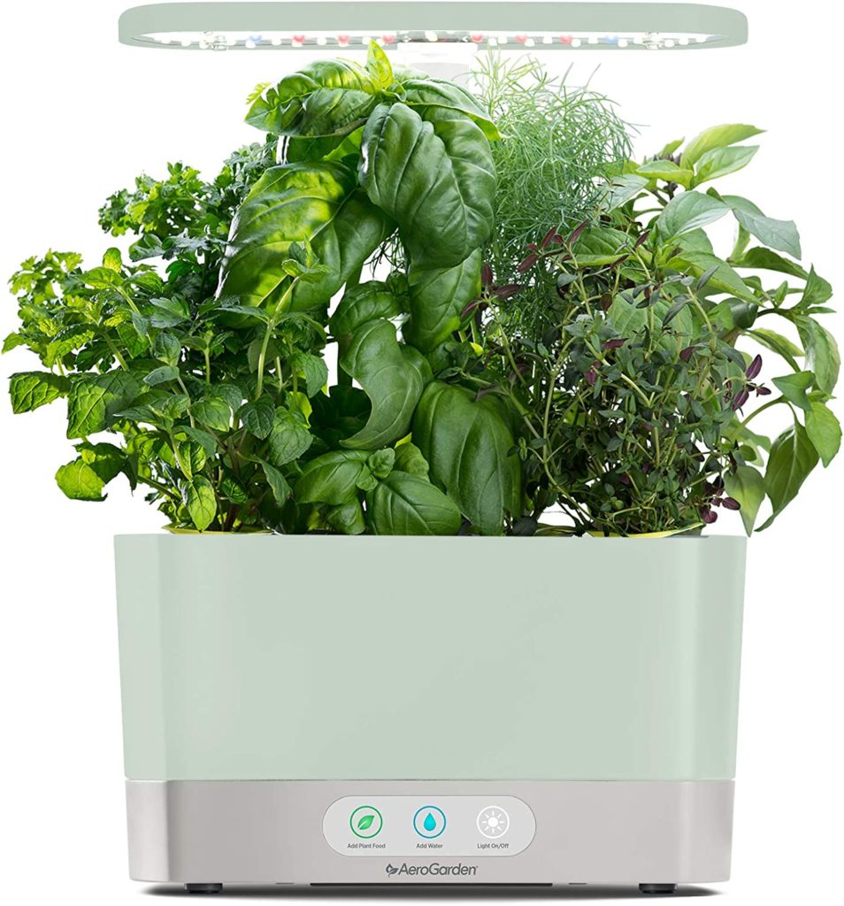 aerogarden