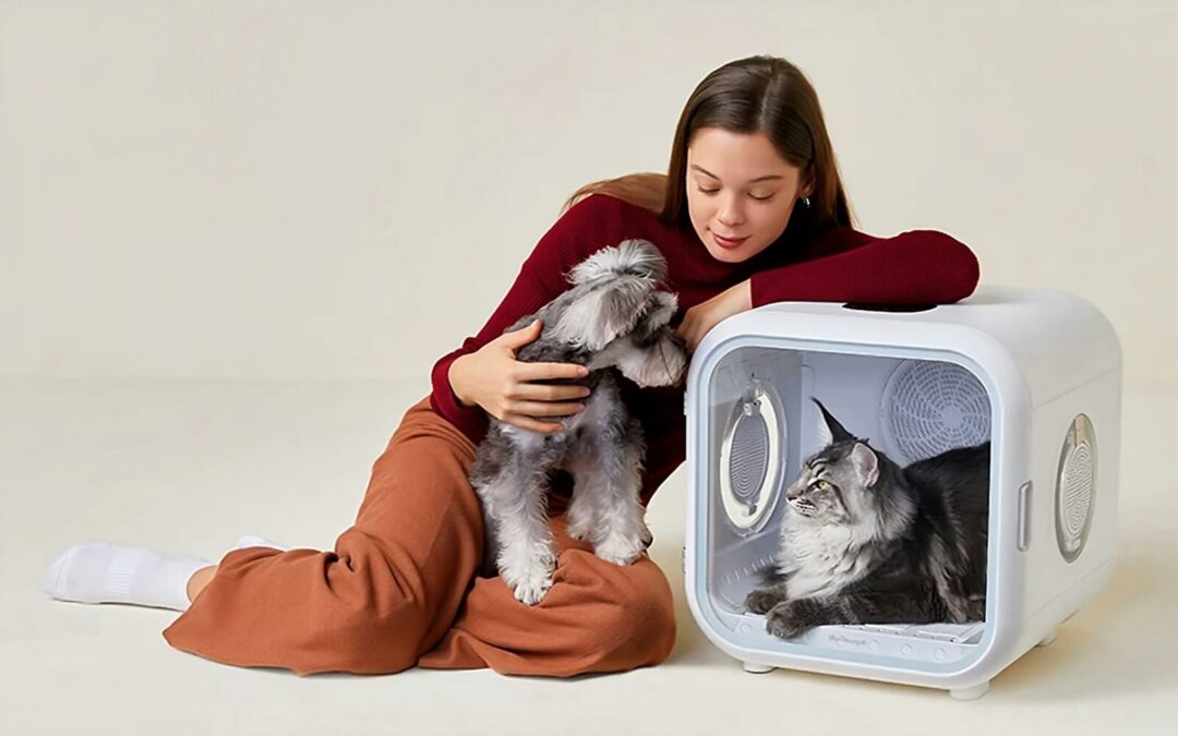 Best 10 Pet Appreciation Gadgets for Every Type of Pet Owner