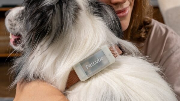 Petcube GPS Tracker LTE 4G Dog Tracking Collar 04