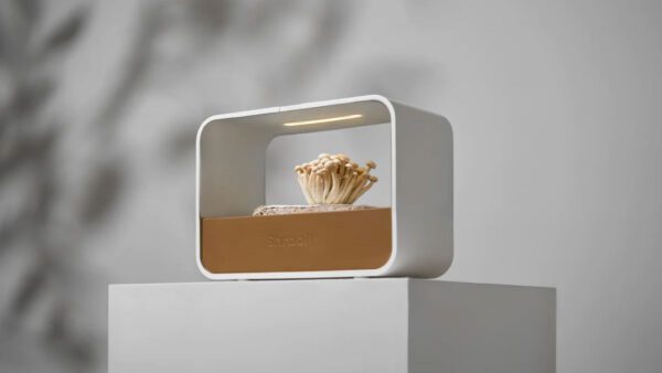 Shrooly Device Automatically Grows Mushrooms Right at Home