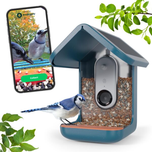 Smart Bird Feeder with Camera and Powered by The Sun scaled