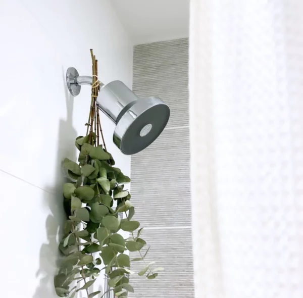 The Showerhead That Removes Heavy Metal from Water