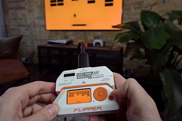 flipper video game module 1