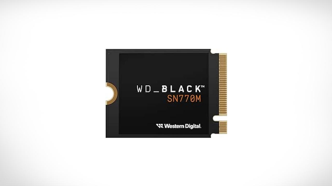 WD_BLACK 500GB SN770M M.2 2230 NVMe SSD for Handheld Gaming Devices, Speeds up to 5,150MB/s, TLC 3D NAND, Great for Steam Deck and Microsoft Surface - WDBDNH5000ABK-WRSN